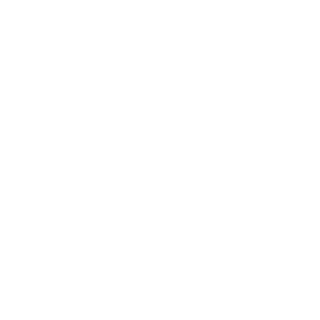white icon of two bones meeting next to a medical symbol