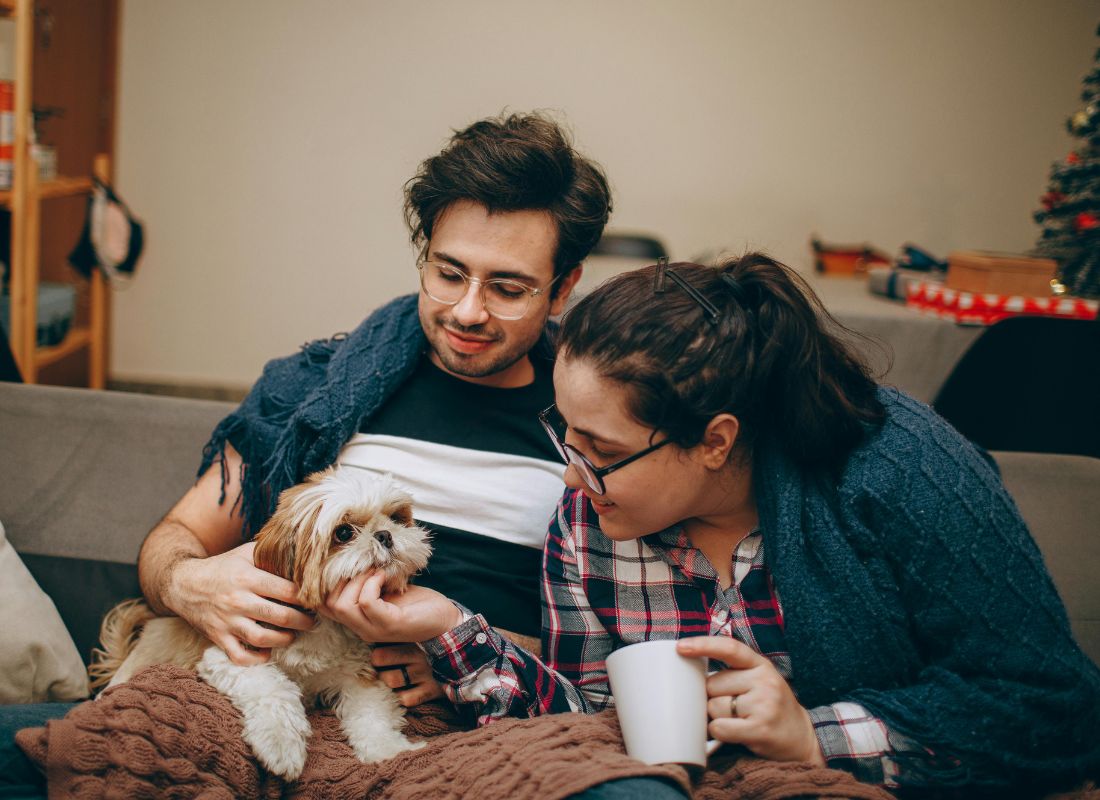 Couple petting dog indoors