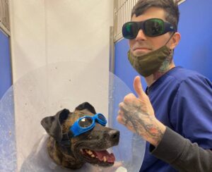 Person and dog with goggles Person and dog with goggles