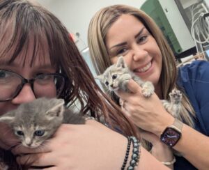 Two women holding kittens. Two women holding kittens.