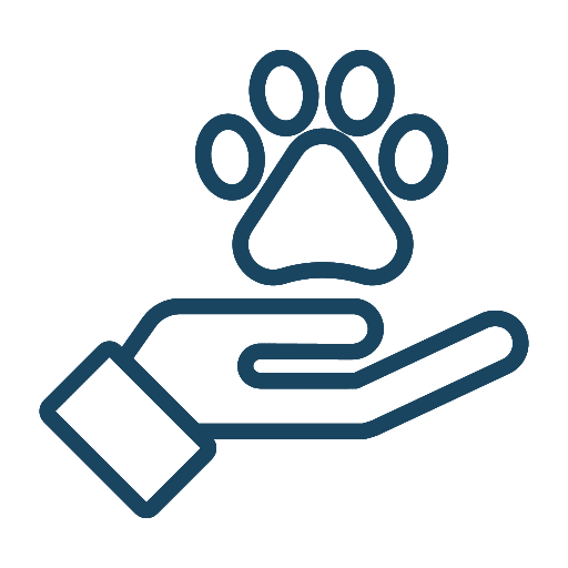 hand holding paw