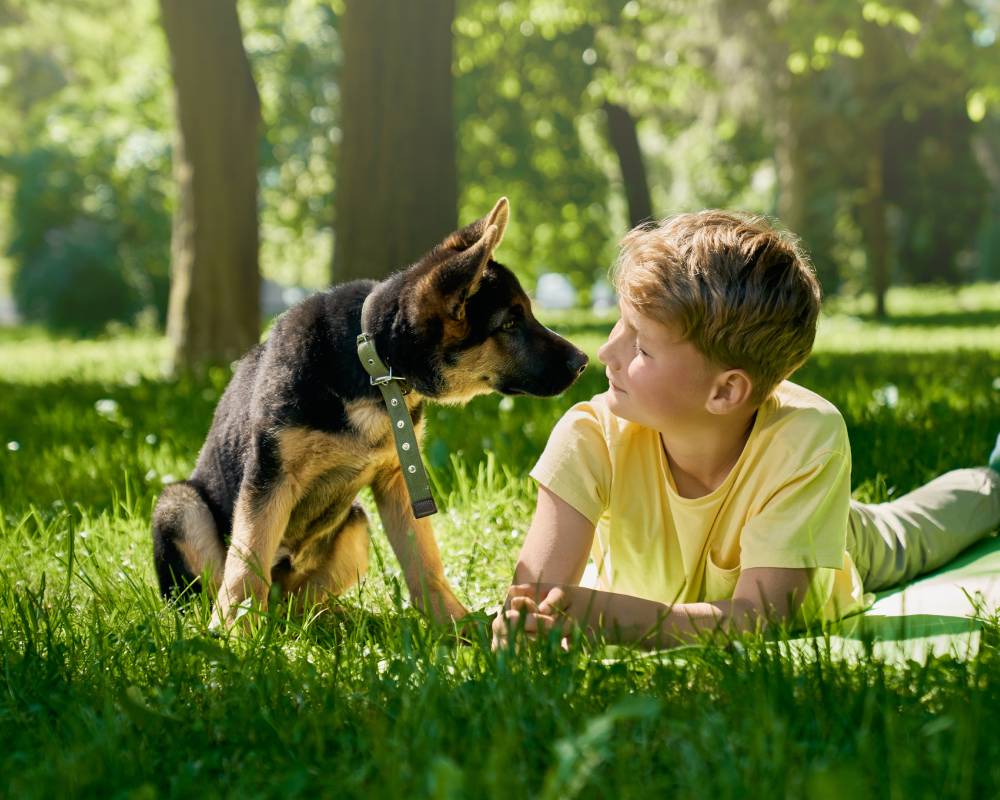Boy and dog interacting. Boy and dog interacting.