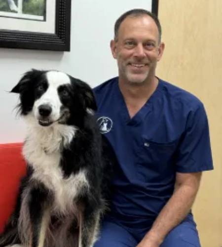 Veterinarian and border collie.