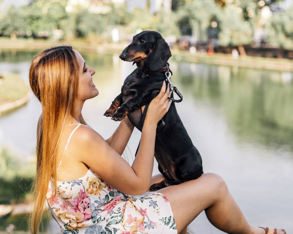 Woman holding dachshund dog. Woman holding dachshund dog.
